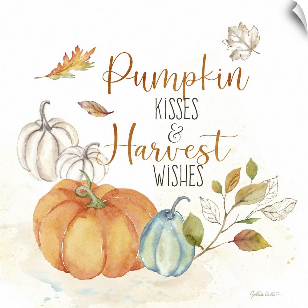 Pumpkin Season VII