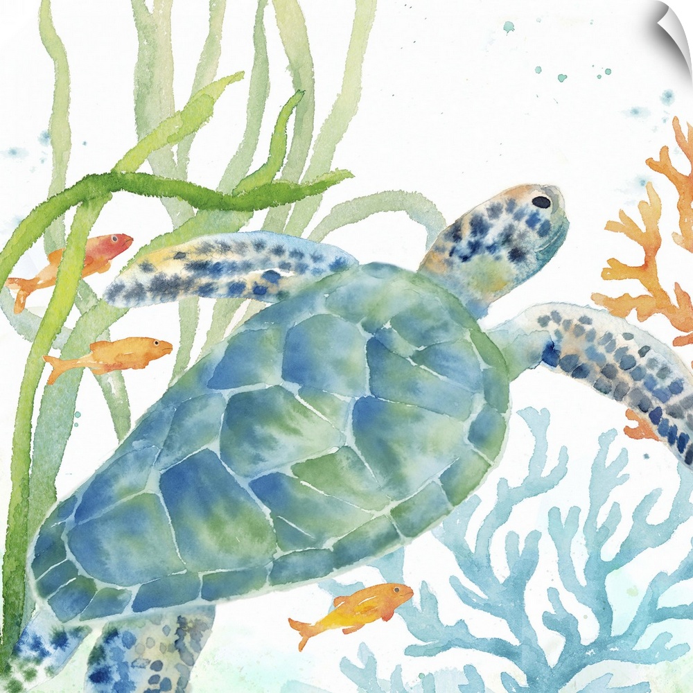 An artistic watercolor painting of a turtle and coral underwater in cool tones of blue and green.