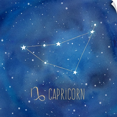 Star Sign Capricorn
