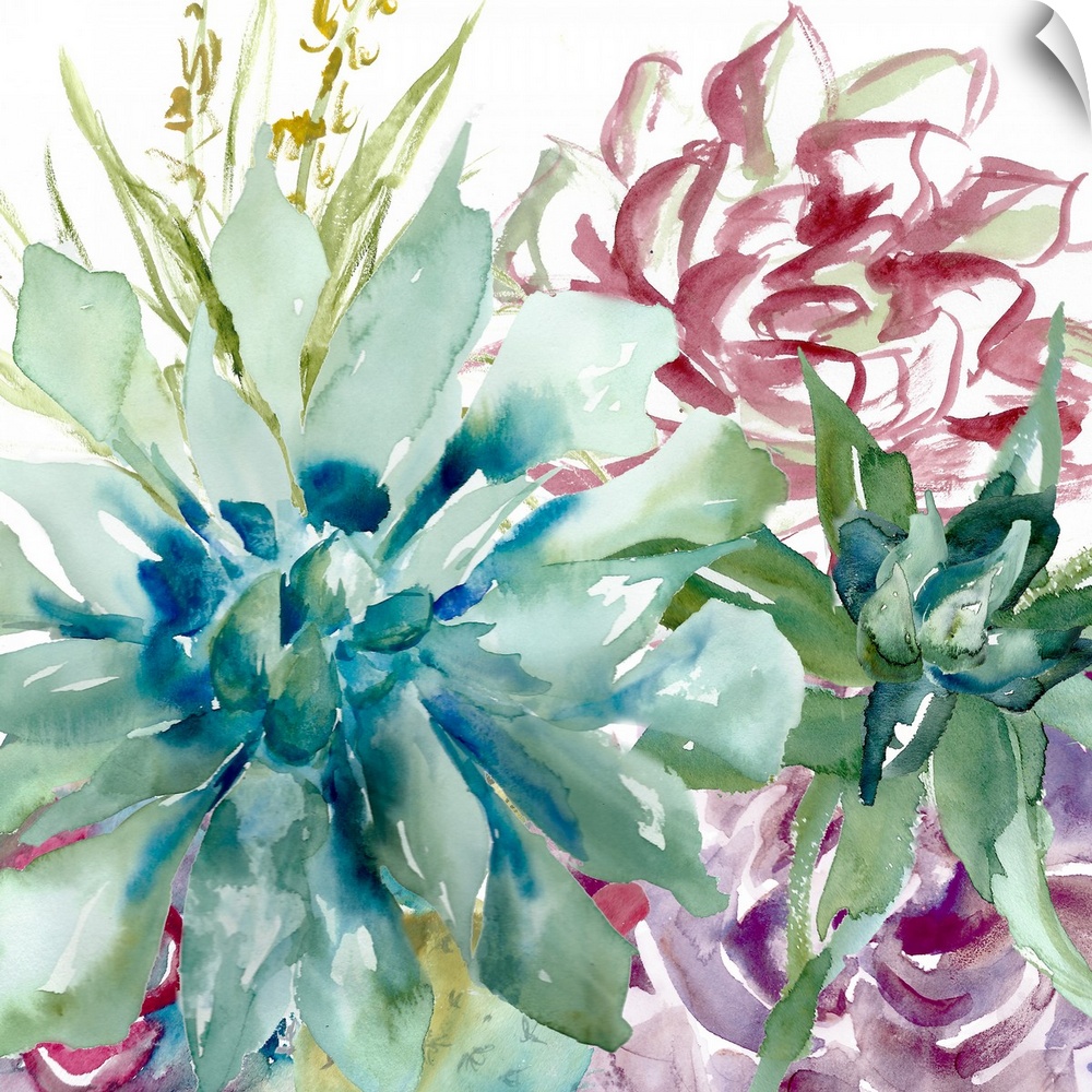 A square decorative watercolor painting of a group of succulents in a garden.