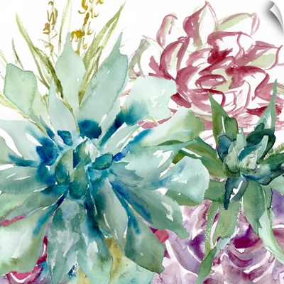 Succulent Garden Watercolor II