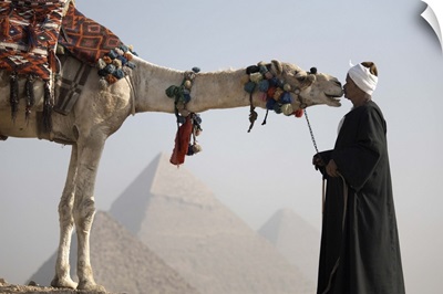 A Bedouin guide with his camel, overlooking the Pyramids of Giza, Cairo, Egypt