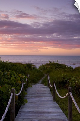 A Boardwalk Over Sand Dunes And Tropical Vegetation, Sanibel Island, Florida