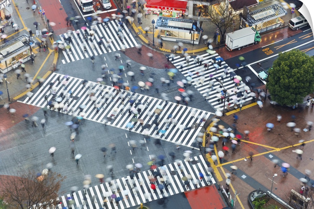 Aerial view of crowds crossing the famous Shibuya Crossing crosswalks at the centre of Shibuya's fashionable shopping and ...