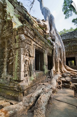 Angkor, Siem Reap, Cambodia, Indochina, Southeast Asia, Asia