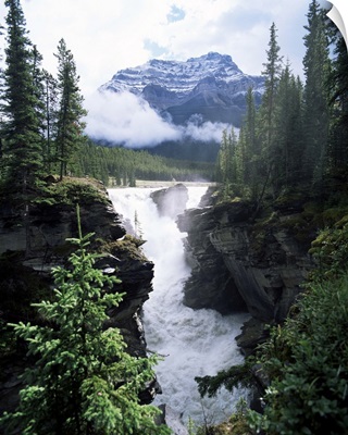 https://static.greatbigcanvas.com/images/print_rolled_wallpeel/robert-harding-world-imagery/athabasca-falls-and-mount-kerkeslin-jasper-national-park-alberta-canada,2050503.jpg?max=400