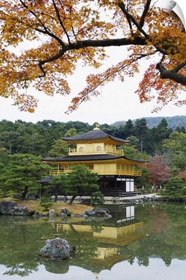 Autumn colour leaves, Golden Temple, Kinkaku ji (Kinkakuji), Kyoto, Japan