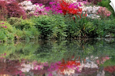 Azaleas in bloom reflected in still water