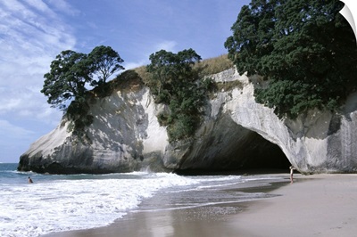 Beach, white chalk cliffs, stacks and arches, Whitianga, South Auckland, New Zealand