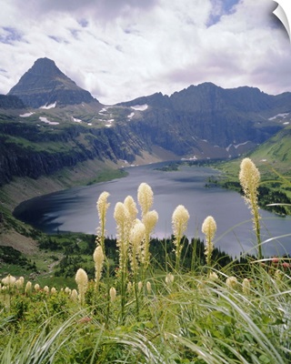 Beargrass, Hidden Lake and Mount Reynolds, Glacier National Park, Montana
