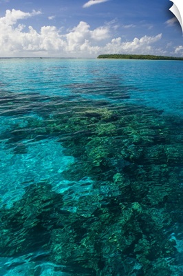 Beautiful turquoise water in the Ant Atoll, Pohnpei, Micronesia, Pacific