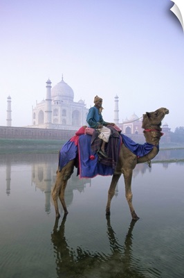 Camel and rider in front of the Taj Mahal and Yamuna River, Taj Mahal, India