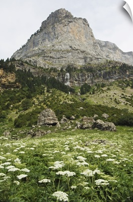 Canon de Anisclo, Ordesa y Monte Perdido National Park, Aragon, Spain
