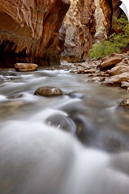 Cascade in The Narrows of the Virgin River, Zion National Park, Utah