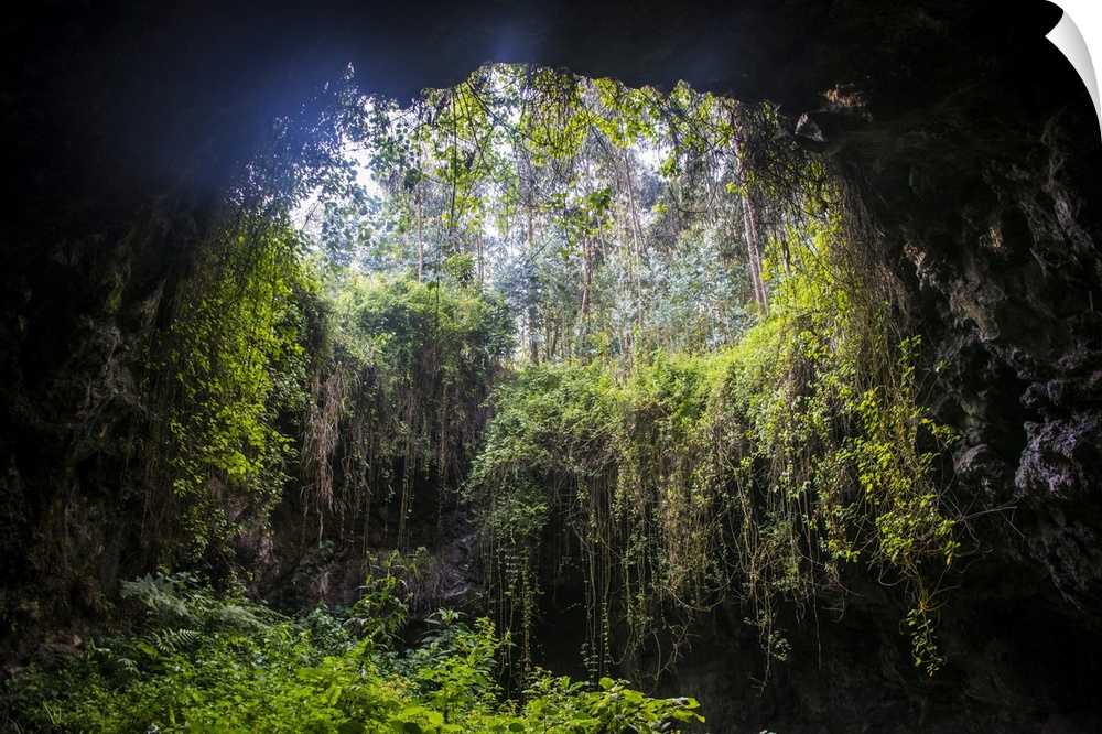 Cave system in the Virunga National Park, Rwanda, Africa