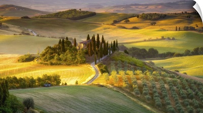 Classic Tuscan Landscape At Sunrise, Tuscany, Italy