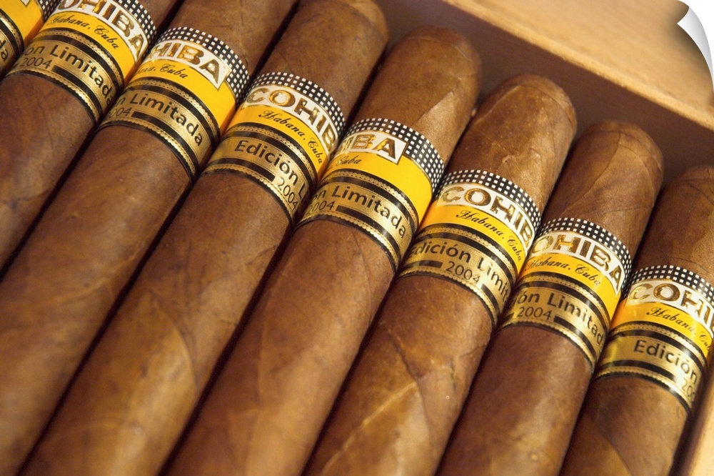 Close-up photograph of limited edition cigars in a box, Cohiba, Havana, Cuba