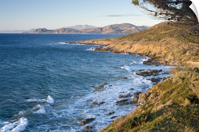 Coast near L'lle Rousse, Corsica, France, Mediterranean, Europe