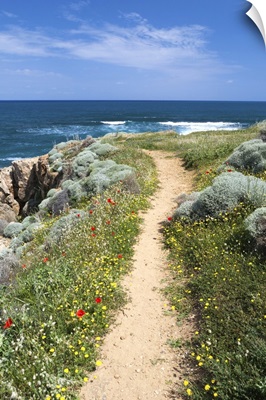 Coastal path with spring flowers, near Chania, Crete, Greece