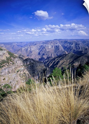 Copper Canyon, Sierra Tarahumara, Sierra Madre, Chihuahua, Mexico