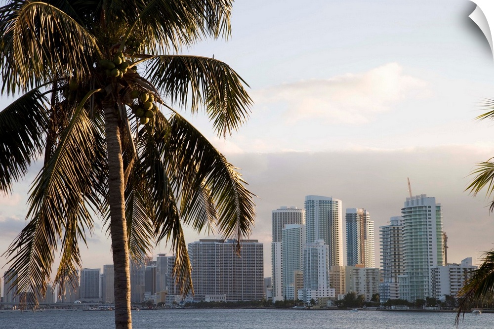 Downtown Miami skyline, Miami, Florida