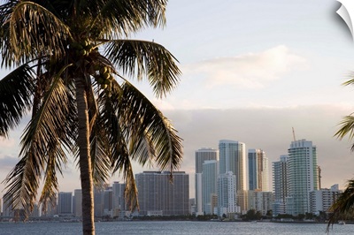 Downtown Miami skyline, Miami, Florida