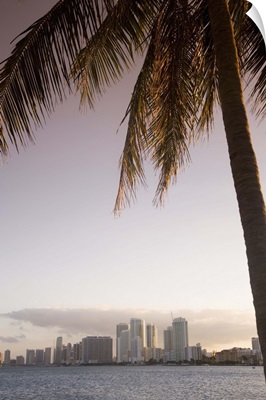 Downtown Miami skyline, Miami, Florida, USA
