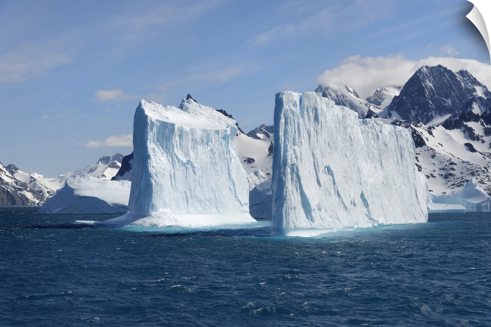 Drygalski Fjord, Floating Icebergs, South Georgia, South Georgia and the Sandwich Islands, Antarctica, Polar Regions