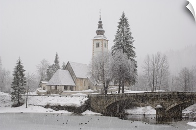 Ducks on frozen lake, Lake Bohinj, Slovenia