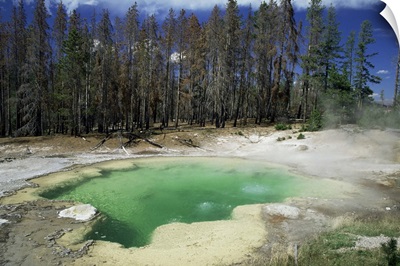 Emerald Spring, Yellowstone National Park, Wyoming