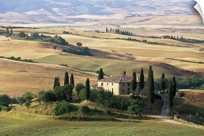 Farmhouse and cypress trees in the early morning, San Quirico d'Orcia, Tuscany, Italy