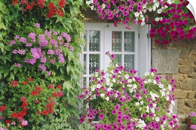 Farmhouse window surrounded by flowers, lIle-et-Vilaine, Brittany, France
