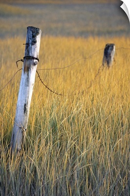Fence posts in salt grass, Hope, Alaska
