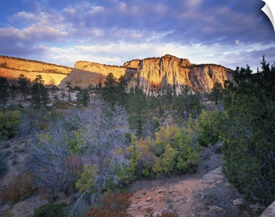 First light on the hills, Zion National Park, Utah