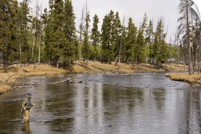 Fly fishing, Firehole River, Yellowstone National Park, Wyoming