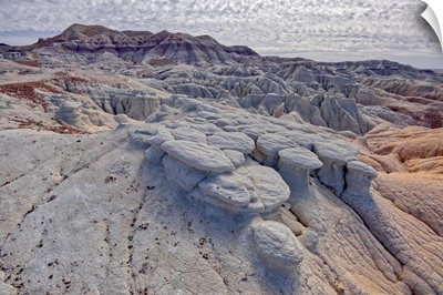 Formations Along The Blue Forest Trail, Petrified Forest National Park, Arizona