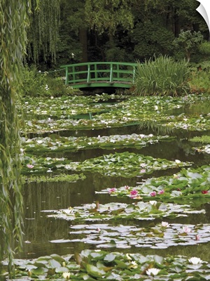 Garden of the Impressionist painter Claude Monet, Normandy, France