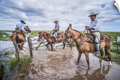 Gauchos On A Cattle Farm, Estancia San Juan De Poriahu, Ibera Wetlands, Argentina