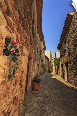 Gorgeous medieval village, cobblestone narrow lane and flowers
