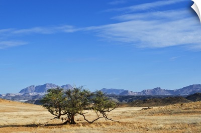 Huab River Valley area, Damaraland, Kunene Region, Namibia, Africa