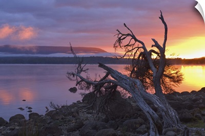 Lake St. Clair, Cradle Mountain Lake St. Clair National Park, Tasmania, Australia