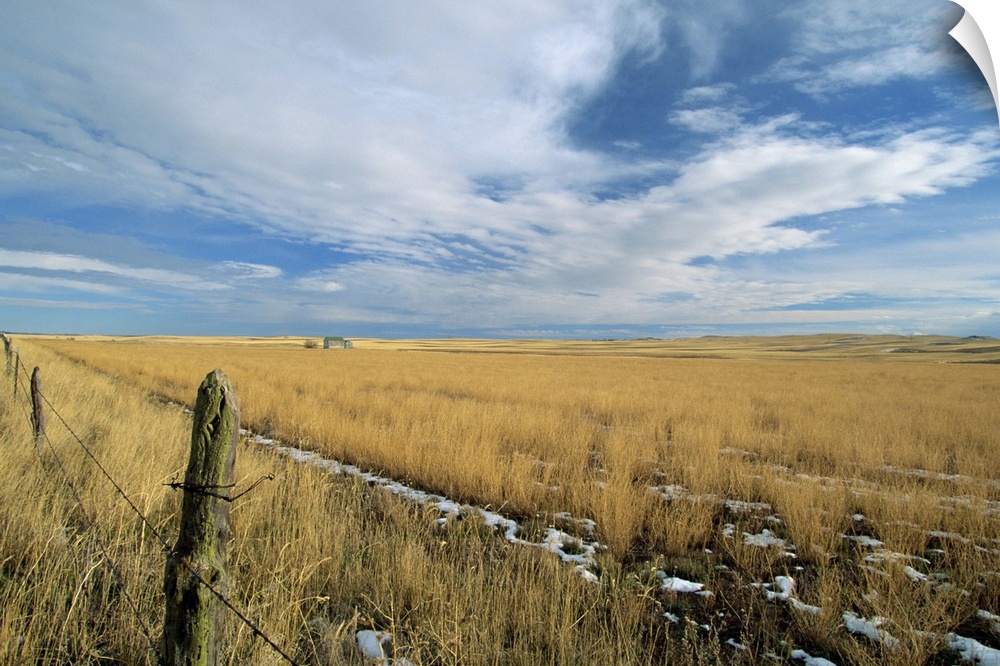 Landscape of the great wide open spaces of the prairies, North Dakota, USA