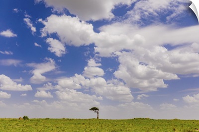 Landscape On Safari In The Maasai Mara National Reserve, Kenya