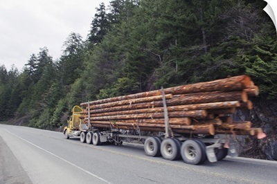 Logging truck in MacMillan Provincial Park, British Columbia, Canada