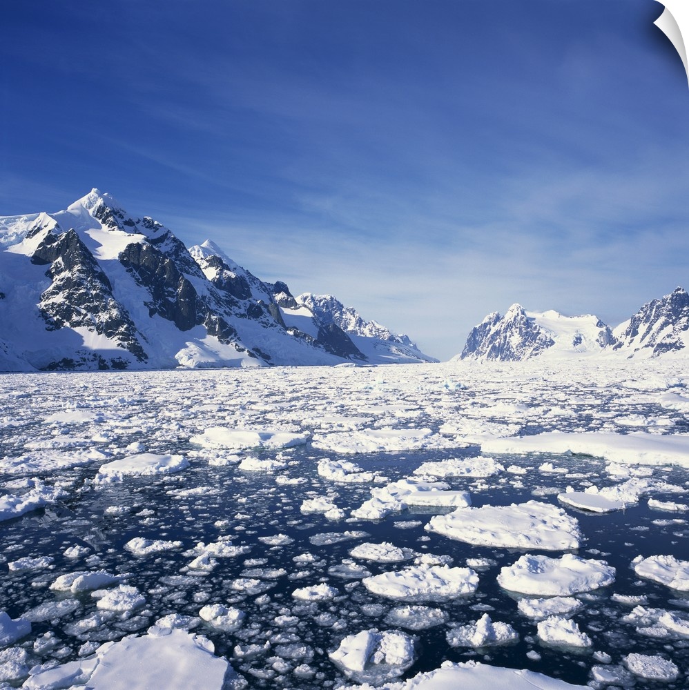 Loose pack ice in the sea, Antarctic Peninsula in the background, Antarctica