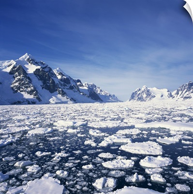 Loose pack ice in the sea, Antarctic Peninsula in the background, Antarctica