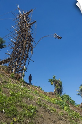 Man jumping from a bamboo tower, Pentecost land diving, Pentecost, Vanuatu