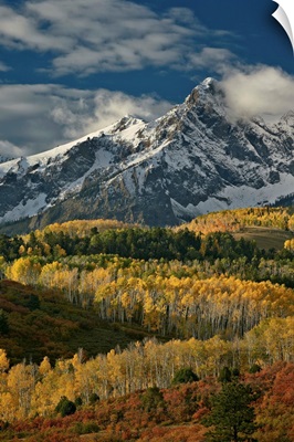 Mears Peak with snow and yellow aspens in the fall, Colorado, USA