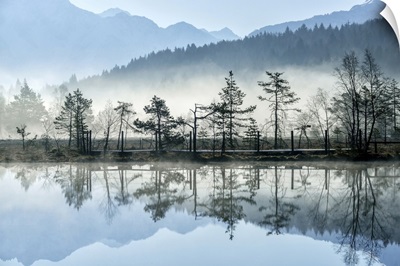Mist Rising From The Ponds Of The Nature Reserve Of Pian Di Gembro, Lombardy, Italy