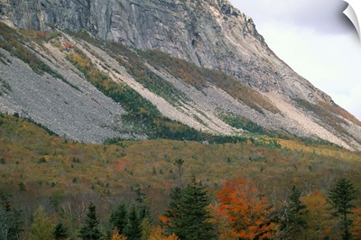 Mountain in fall, White Mountain National Forest, New Hampshire